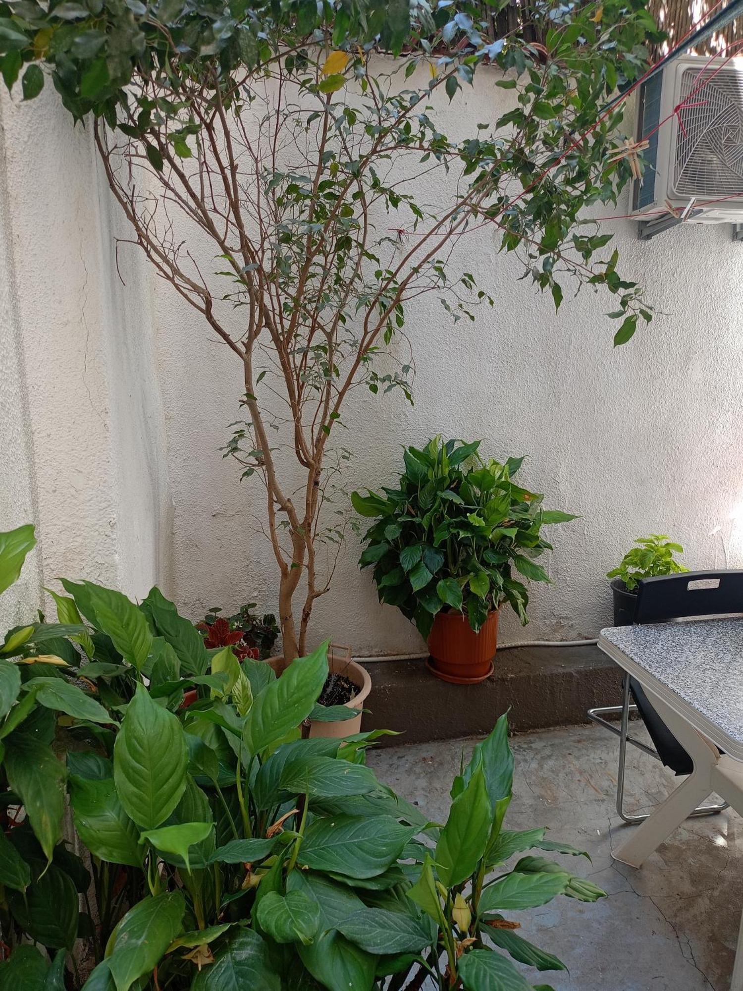 Katerina'S House Near Acropolis Apartment Атина Екстериор снимка
